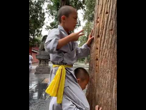 Shaolin Iron Zen Finger Training