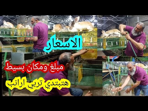 المفروض تبتدي بكام ارنبه وكام سلاكه والغرفه كام في كام وتركيب السلاكه والاسعار