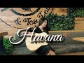 Camila Cabello Ft Young Thug Havana Guitar Fingerstyle Josephine Alexandra Erin And Euan G