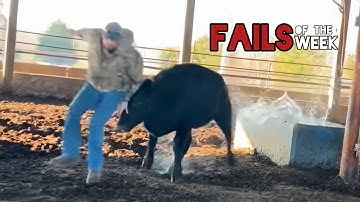 Beste grappige video