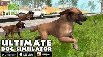 Ultimate Dog Simulator By Gluten Free Games - Gameplay