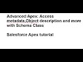 The Expert Guide to Advanced Salesforce Apex: Schema Class |metadata Acess |Object Descriptions