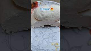 How To Make Paneer L