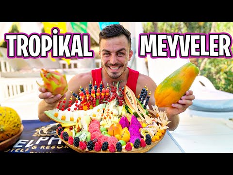 Video: Victoria (çilek) bahçe meyvesi için ortak bir isim olarak