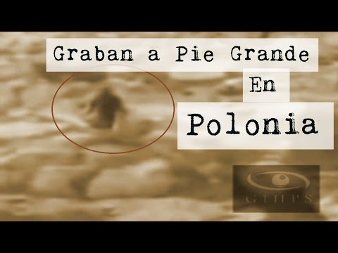 YETI O PIE GRANDE EN POLONIA... VIDEO REAL GIHPS