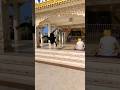 #new #short #video #post #YouTube short Instagram ID @ch_andan3490 🥰👀🥺🕌