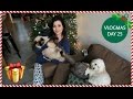 ELLEMAS SPECIAL | VLOGMAS DAY 25