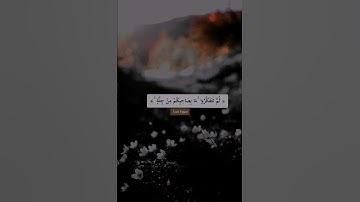 القران الكريم .عبدالله المطرود