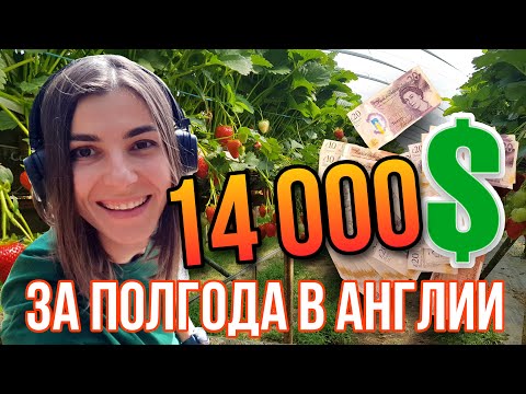 Сколько ДЕНЕГ я заработала НА ФЕРМЕ в АНГЛИИ? Мой итог за 6 месяцев!!! Кто ждал - держите! 🦇