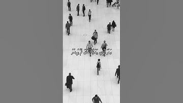 وهو الذي يبدؤا الخلق ثم يعيده | القارئ محمد خالد نادي #islam #islamicvideo #quran #القرآن_الكريم