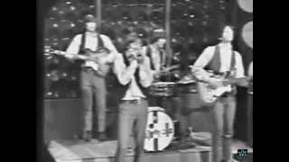 Video thumbnail of "The Rationals - Respect (Swingin' Time - Sep 10, 1966)"
