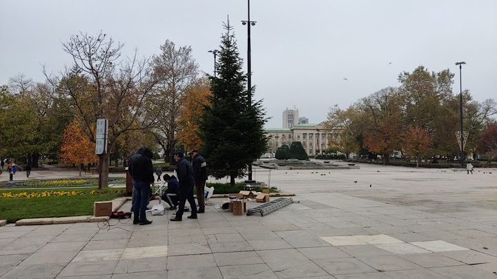 Започна украсяването на Коледна елха в Русе, има изненада