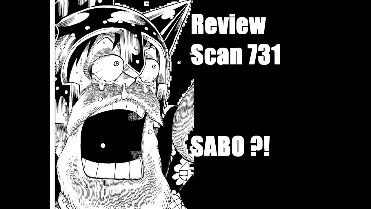 [FR] Review One Piece Scan 731 - L'opération S.O.P - YouTube