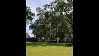 flagpole 2
