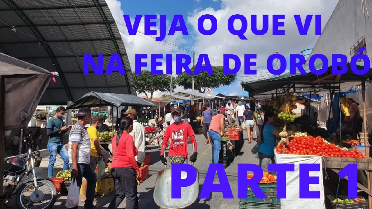 VEJA O QUE VI NA FEIRA DE OROBÓ- (PARTE 1) #ATUALiZADO#