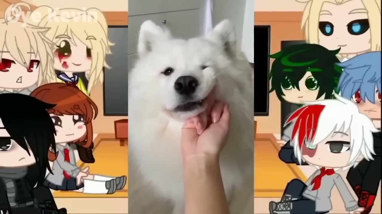 MHA/BNHA Character React to Deku's Pets/Bakugou pets/Gacha Club