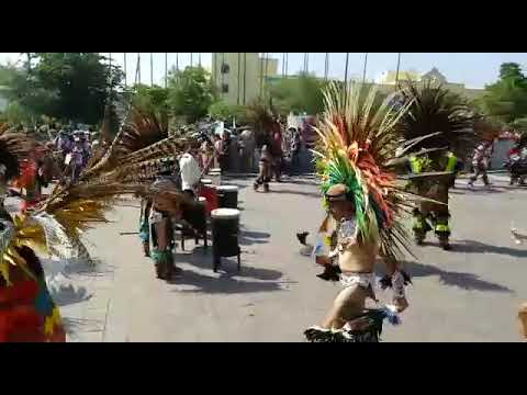 Danzantes en Zapopan...