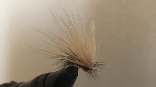 今日の夕まずめ用　ドライフライ　エルクヘアカディス