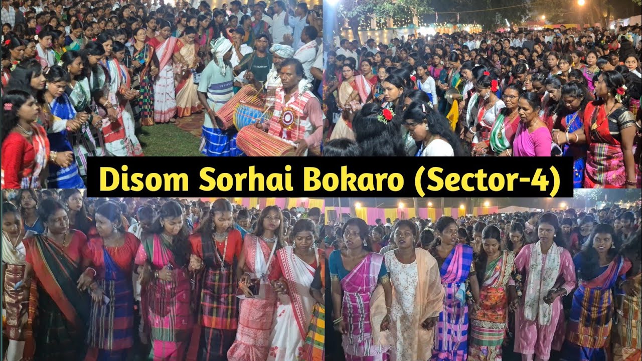 Disom sohrai ( Bokaro Sector 4) | Bokaro Disom Sohrai 2025 | Santali ...