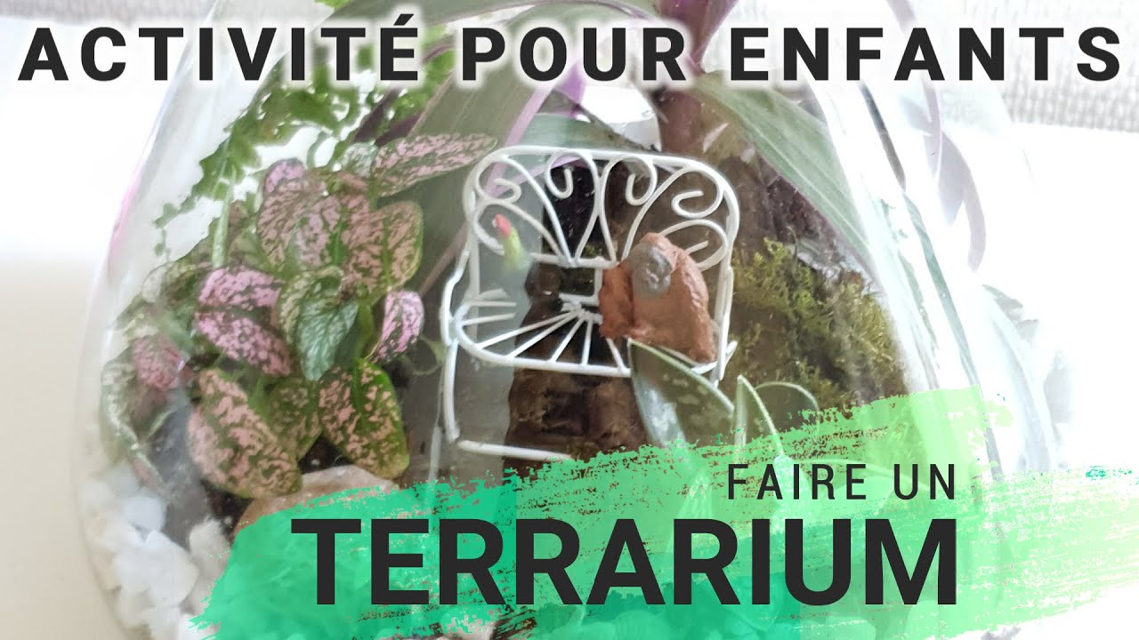 DIY - Faire un terrarium dans un bocal 🌱 un jeu d'enfant ! 