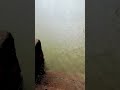 നിങ്ങൾക്ക് മഴ ഇഷ്ടമാണോ...🌧️🌦️🌦️⛈️⛈️