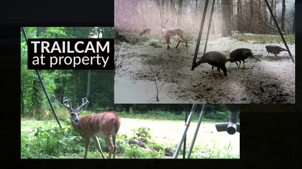 JRC auction Carlisle County, KY YouTube