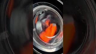 Hotpoint NSWR843C Mixed 40'c Full Cycle