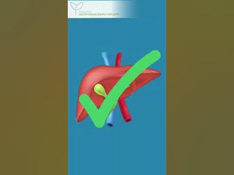 Натуральные средства для очищения печени – готовим в домашних условиях ...