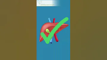 Натуральные средства для очищения печени – готовим в домашних условиях