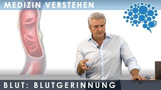 Die Blutgerinnung - Brandaktuell │Dr. Dr. Damir del Monte│Encephalon Medizin-Videos bei Lecturio