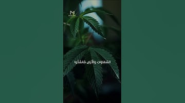 تلاوة خاشعة لـ مدحت صالح