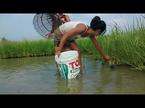 Amazing khmer fishing at salakroa district pailin Province(part43)