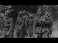 Battle of France, German Blitzkrieg on the Western Front, World War II German newsreel #ww2 #panzer