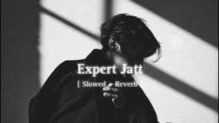 Expert Jatt [Slowed   Reverb]