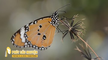 Phút Cầu Nguyện, Thứ Hai 31/12/2018: Thời Giờ Là Của Chúa