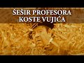 ŠEŠIR PROFESORA KOSTE VUJIĆA (1971)