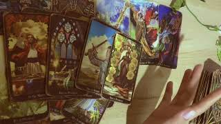 SAGITARIUS 8-13 FEBRUARI 2026 🌿 Ada yg gila krnmu bahkan tidak bisa tidur #sunflowertarot 