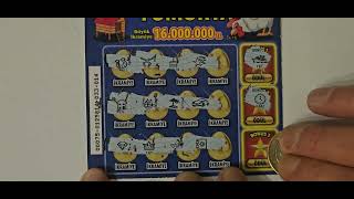 Kazi Kazan Yumurta Kazidik