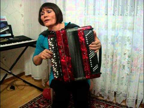 Песни под баян. Под гармонь на тропинке. Семин с гармошкой. Гармонь на тропе. Яблочко на гармошке.