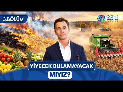 Is a Food Crisis Looming? How Will Climate Change Affect Our Tables? | Countdown to COP31 | NTV