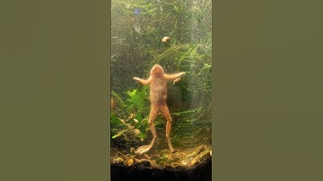 How crowded would you say this bus is: the sequel? Part 46