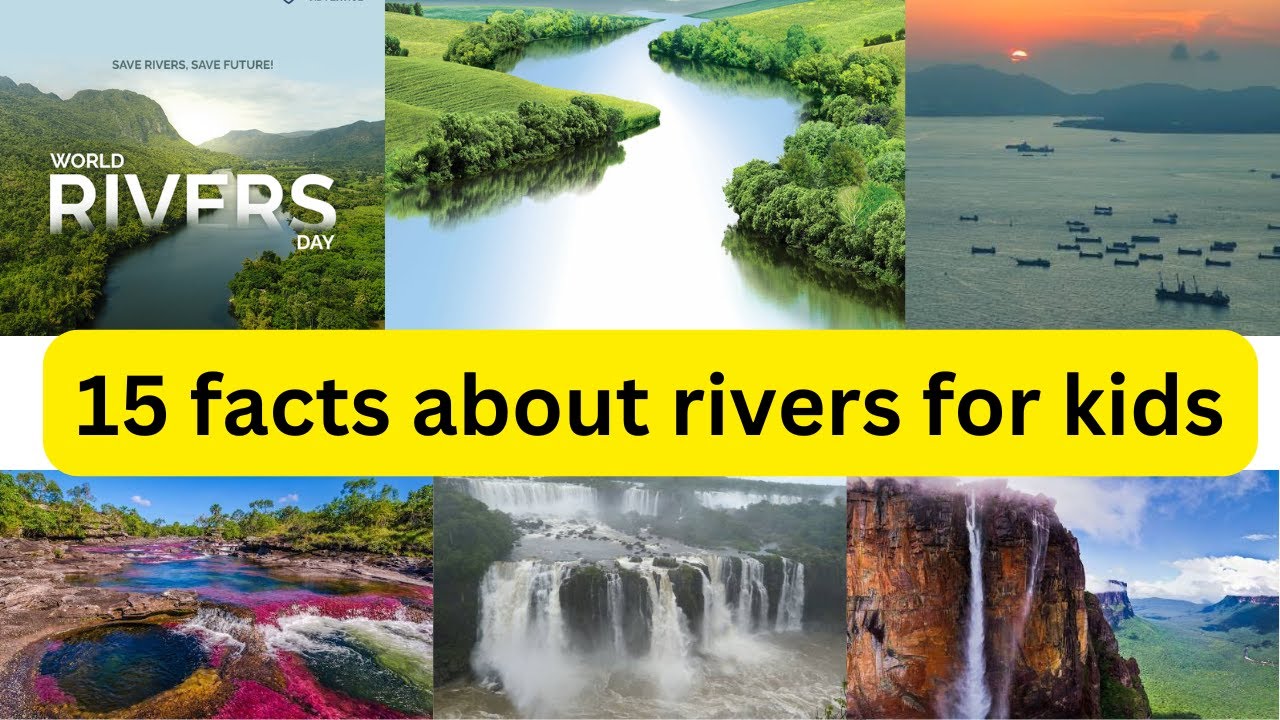 15 Facts About Rivers || Learn about rivers #trending #river - YouTube