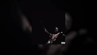 Travis Scott - I KNOW ？[Seamless Loop]