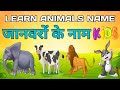 Animals Name | Learn Animals Name in English | Animals Name Basic English Learning | Daggu kids Tv