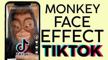 How to Get Monkey Face Effect on Tiktok 2022