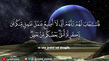 Sura Ali- 'Imran (Ajeti 190-200) | Vedi' El-Jemeni | سورة آل عمران من الآية (١٩٠-٢٠٠) وديع اليمني