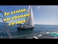 Ep81 je croise un abonn en mer 