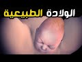 شاهد كيف تتم الولادة الطبيعية