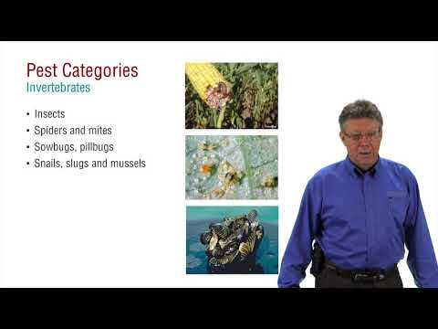 Pesticide Applicator Core Exam Prep Pest Categories