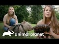 Los momentos más emotivos de Bindi y sus especies australianas favoritas | Los Irwin | Animal Planet